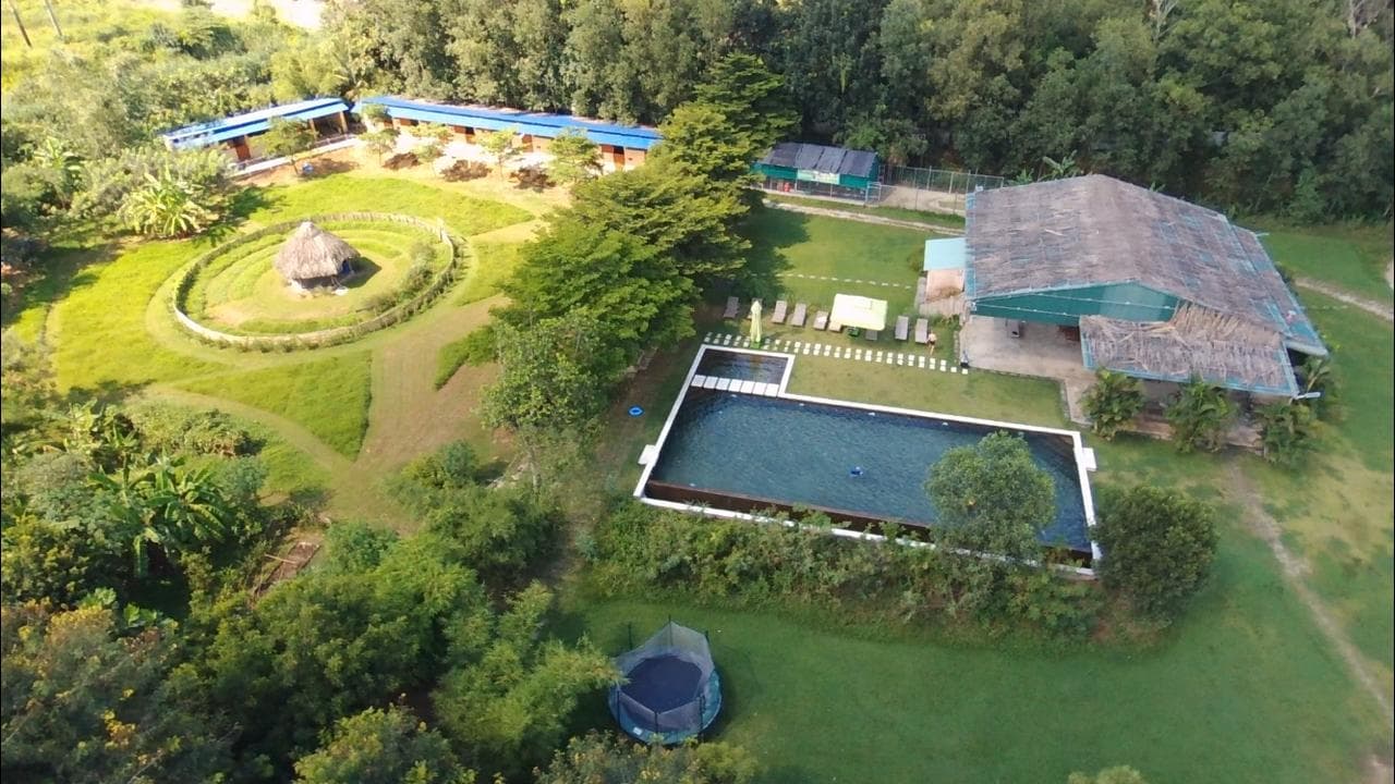 hippo farm vietem