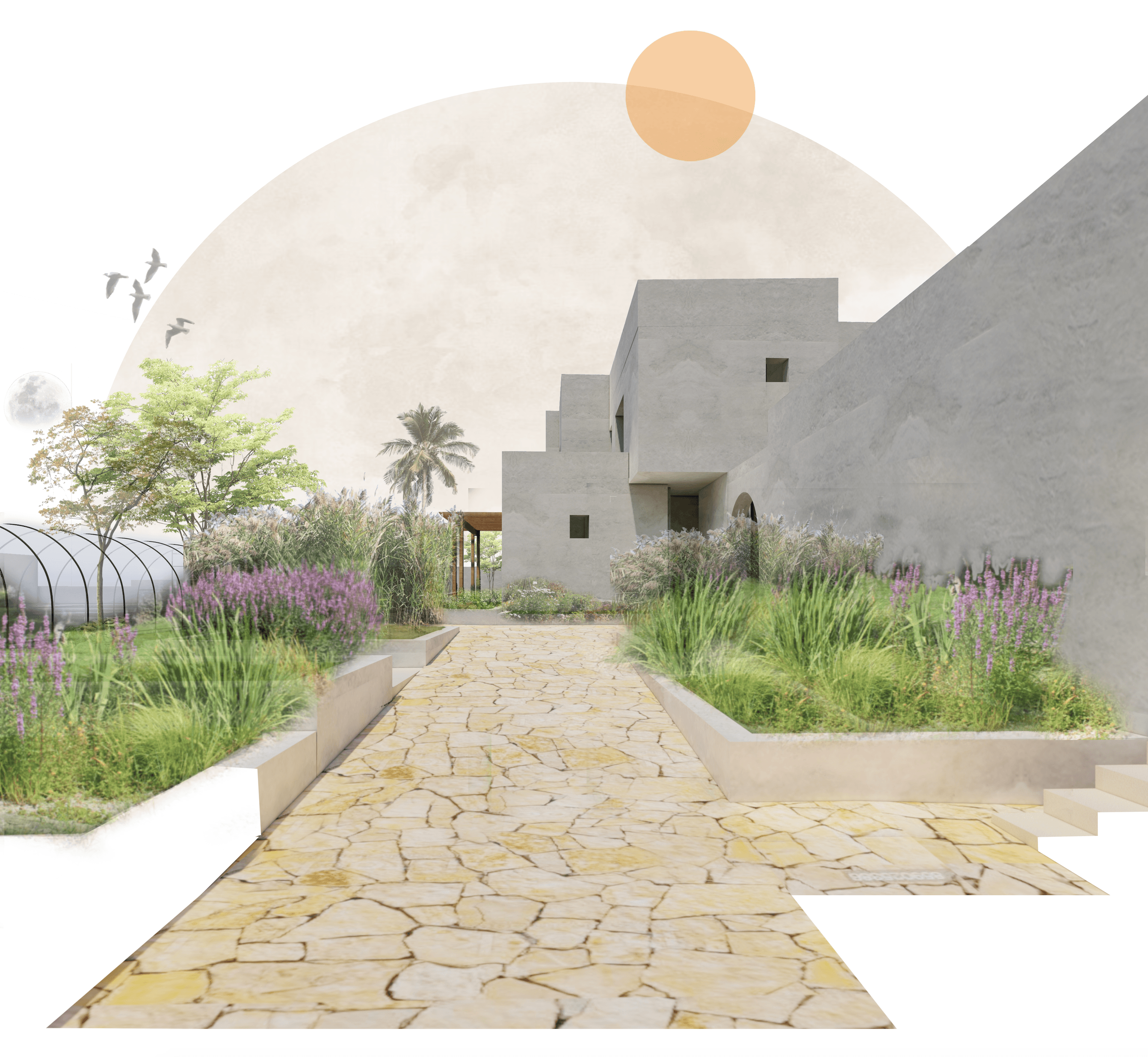 phytoepuration garden
